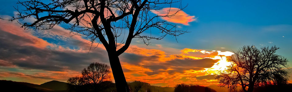 在线DDOS压力测试网页端