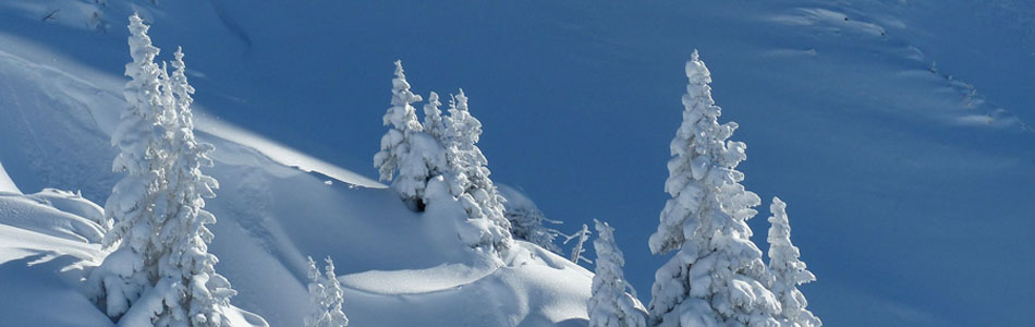 一手货源批发的cc攻击工具