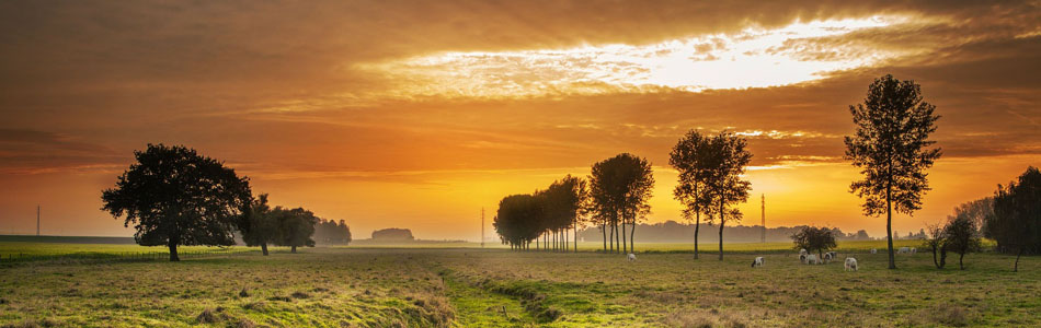 ddos服务器攻击手段